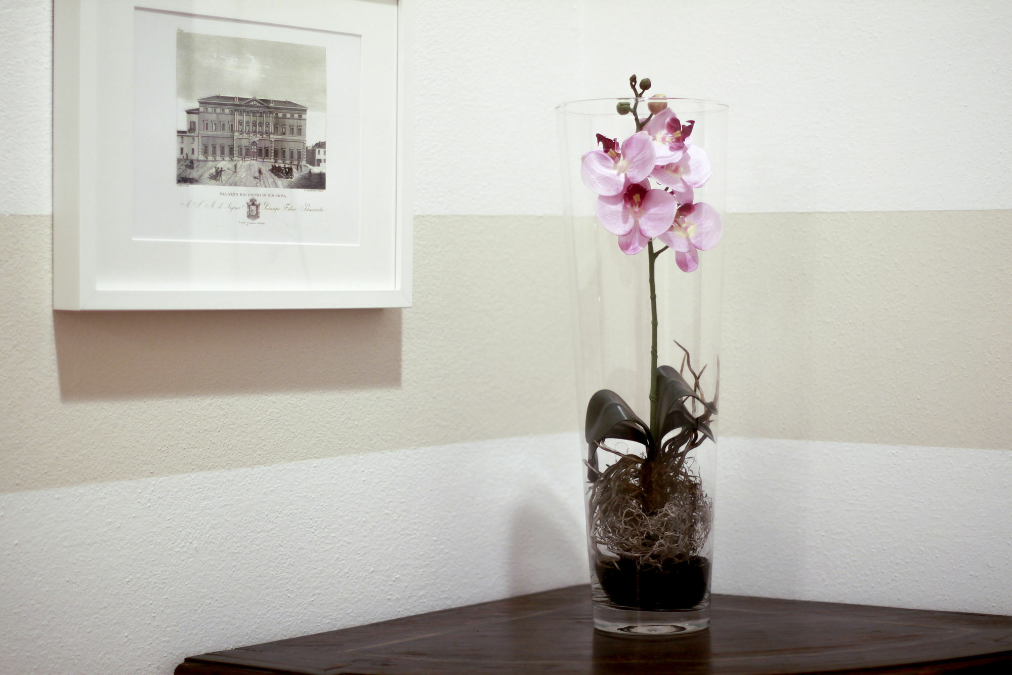 Casa Isolani Luxury Rooms Piazza Maggiore بولونيا المظهر الخارجي الصورة